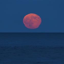 Moon Rise at the North Sea